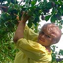 Знакомства: Veronika, 58 лет, Краснодар