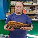 Знакомства: Николай, 36 лет, Лыткарино