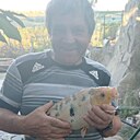 Знакомства: Анатолий, 67 лет, Белая Калитва