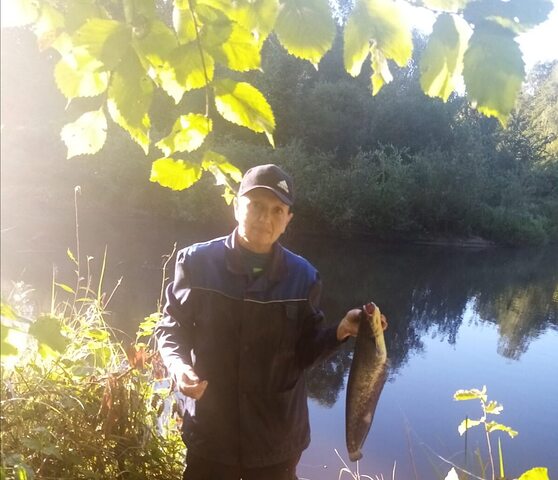 Фото - Tabor.ru