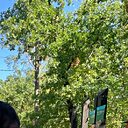 Знакомства: Денис, 24 года, Киев