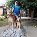 Знакомства: Владимир, 45 лет, Воронеж