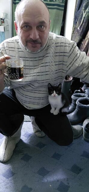 Фото - Tabor.ru