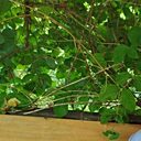 Знакомства: Наталья, 47 лет, Березники