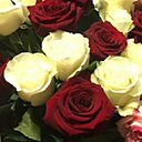 Знакомства: Донна Роза, 63 года, Хабаровск