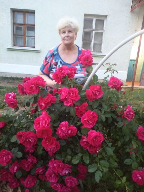 Фото - Tabor.ru