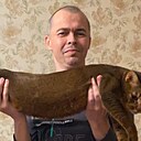 Знакомства: Дмитрий, 45 лет, Волжск