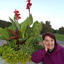 Знакомства: Алла, 67 лет, Минск