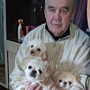 Знакомства: Александр, 67 лет, Сафоново