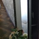 Знакомства: Natalie, 52 года, Саратов