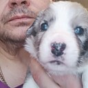 Знакомства: Алексей, 51 год, Зеленодольск