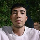 Знакомства: Аликгатор, 30 лет, Ростов-на-Дону