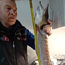 Знакомства: Михаил Михайлови, 68 лет, Столин