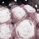 Знакомства: Малефисента, 50 лет, Донецк