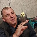 Знакомства: Александр, 56 лет, Зеленокумск