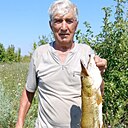 Знакомства: Николай, 69 лет, Семикаракорск
