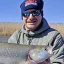 Знакомства: Алеесандр, 42 года, Белгород
