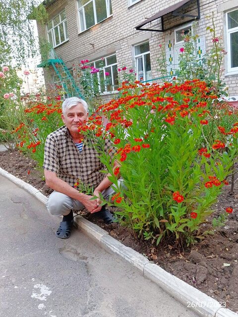 Фото - Tabor.ru
