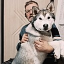 Знакомства: Юрий, 66 лет, Тамбов