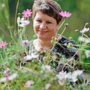 Знакомства: Наталья, 64 года, Тотьма