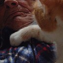 Знакомства: Василий, 69 лет, Иваново