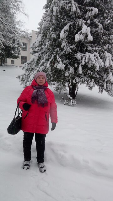 Фото - Tabor.ru
