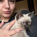 Знакомства: Людмила, 36 лет, Великий Новгород