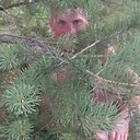 Знакомства: Никита, 47 лет, Березники