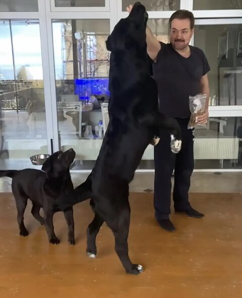 Фото - Tabor.ru