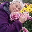 Знакомства: Елена, 65 лет, Алушта