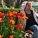 Знакомства: Елена, 63 года, Петушки