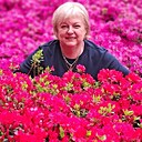 Знакомства: Лидия, 59 лет, Мосты