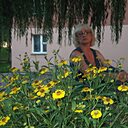 Знакомства: Екатерина, 64 года, Витебск
