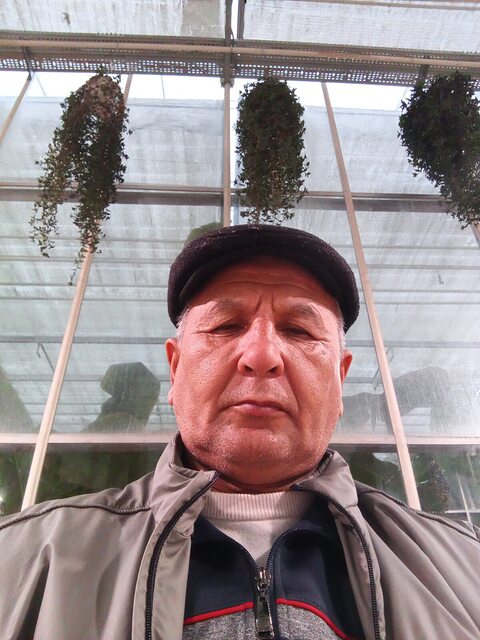 Фото - Tabor.ru