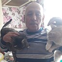 Знакомства: Видади, 64 года, Ижевск