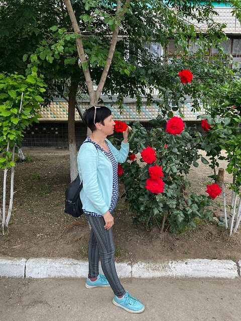 Фото - Tabor.ru