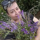 Знакомства: Леди, 35 лет, Старобельск