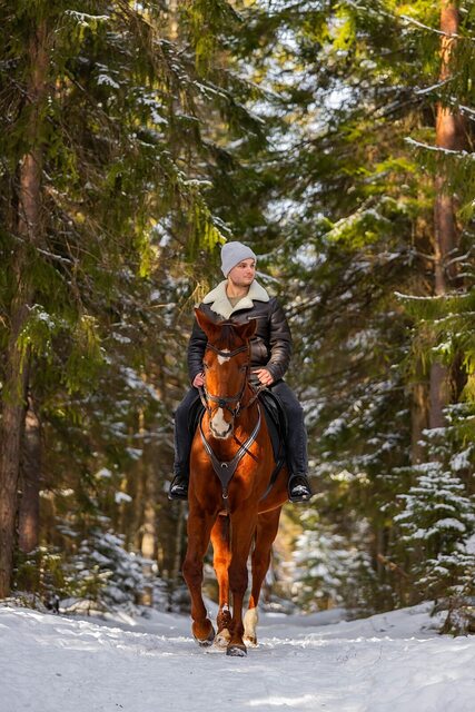 Фото - Tabor.ru