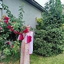 Знакомства: Ирина, 47 лет, Мукачево