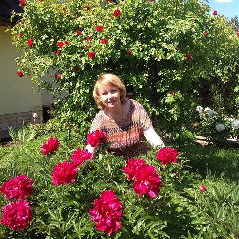 Фото - Tabor.ru