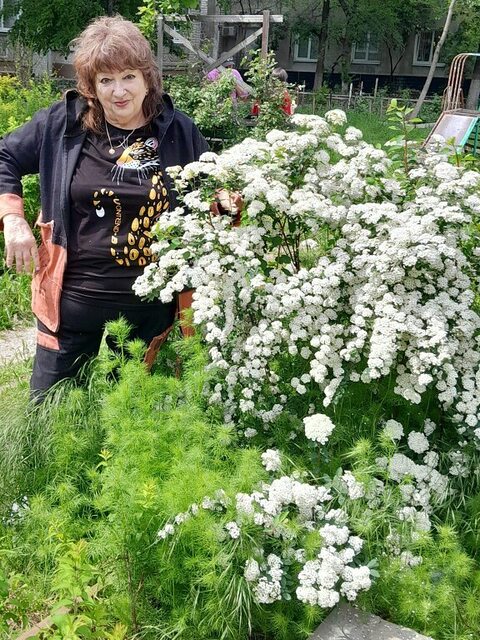 Фото - Tabor.ru