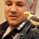 Знакомства: Алексей, 44 года, Москва