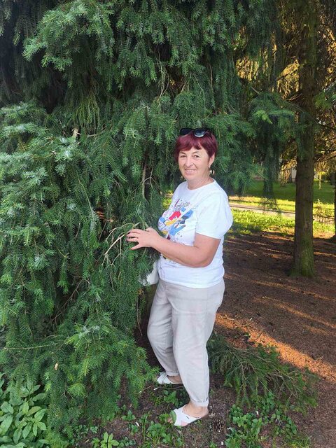 Фото - Tabor.ru