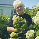 Знакомства: Елена, 63 года, Лида
