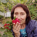 Знакомства: Надежда, 51 год, Майкоп