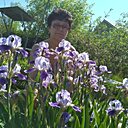 Знакомства: Вероника, 65 лет, Самара