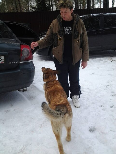 Фото - Tabor.ru
