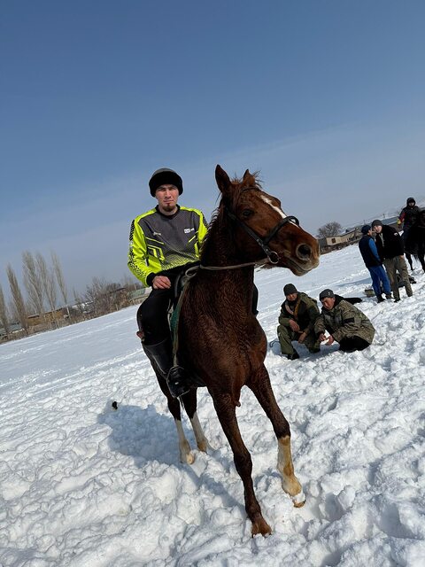 Фото - Tabor.ru