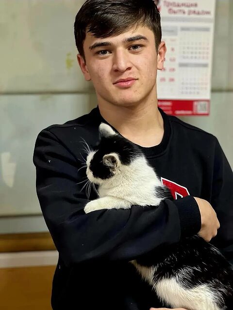 Фото - Tabor.ru