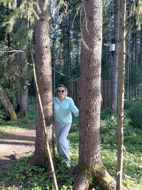 Фото - Tabor.ru